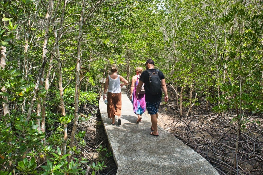 a group of people walking on a concrete path in a mangrove forest, koh lanta, thailand.