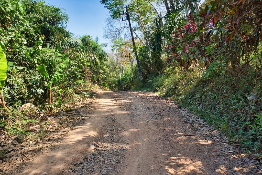 A dirt road with forest around on koh yao noi. 