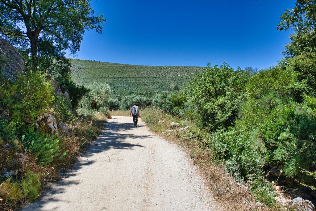 kobieta idzie drogą w parku narodowym w portugalii