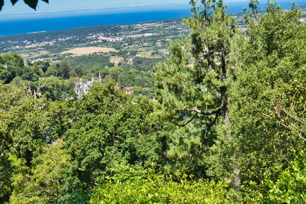 Widok lasu i przyległego zamku z drogi do Zamku Maurów w Sintrze. 