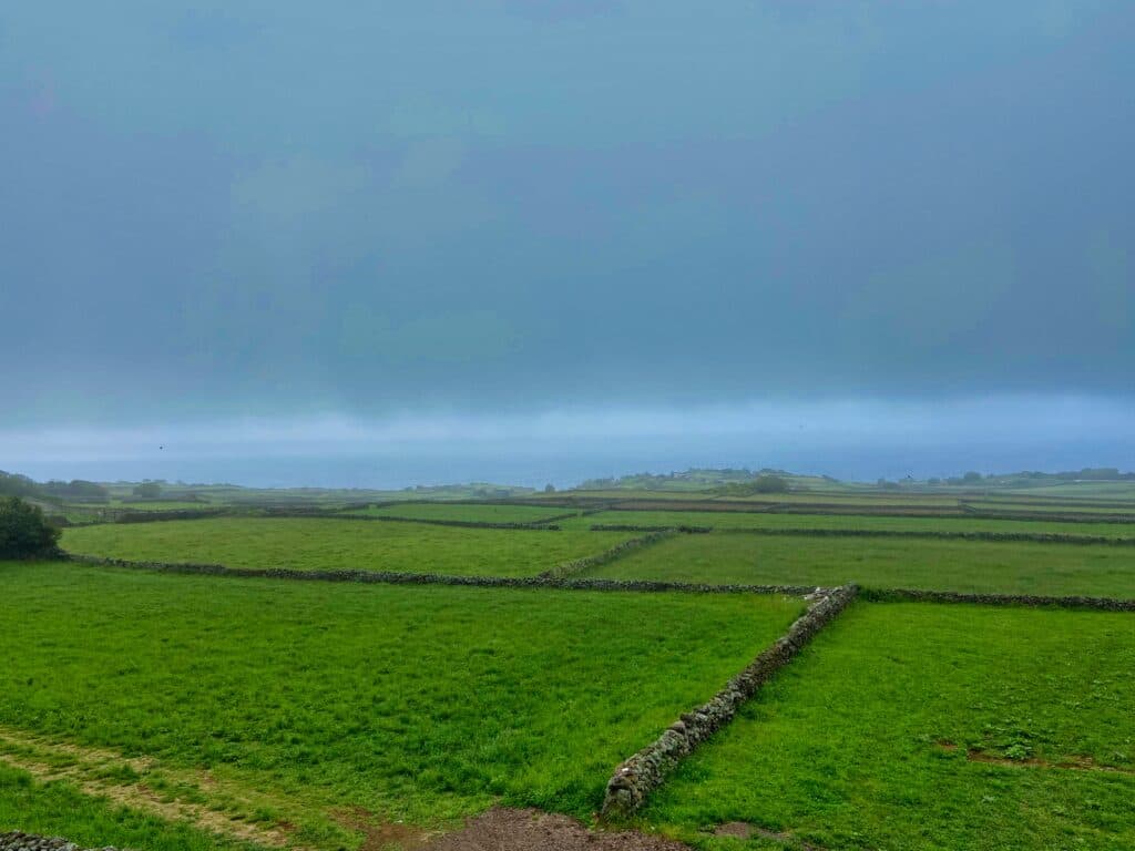 Zielone pola na azorach.