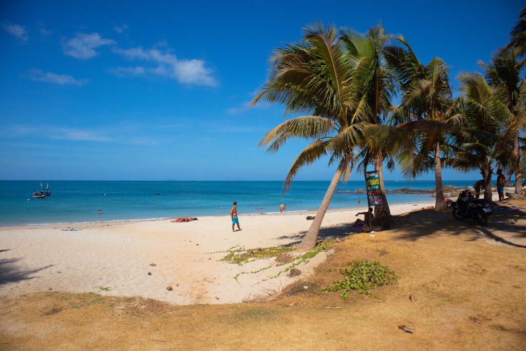 Palm trees and tourists on a beach on koh lanta. 