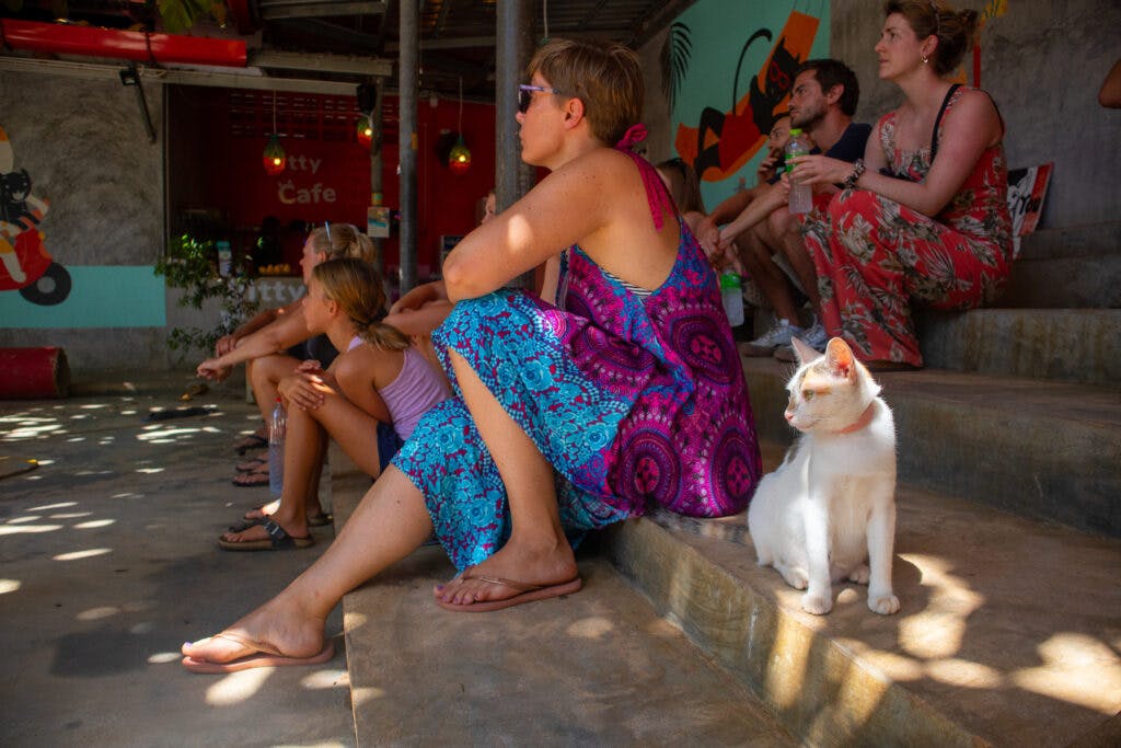 A woman sitting next to a cat at the animal shelter on koh lanta. 