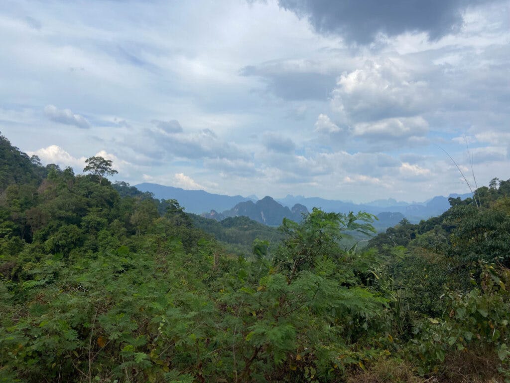 A view over the hills in Khao Sok National Park. 