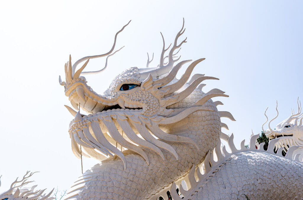 A huge white dragon's head