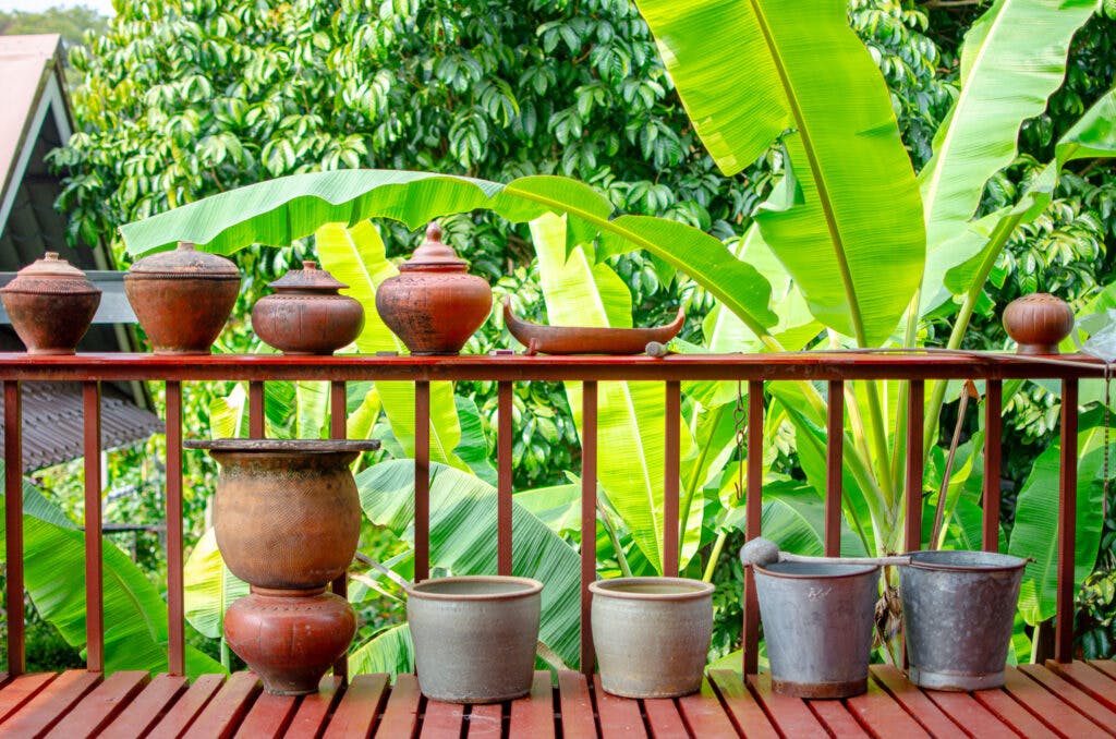 Clay pots, green garden, balcony. 