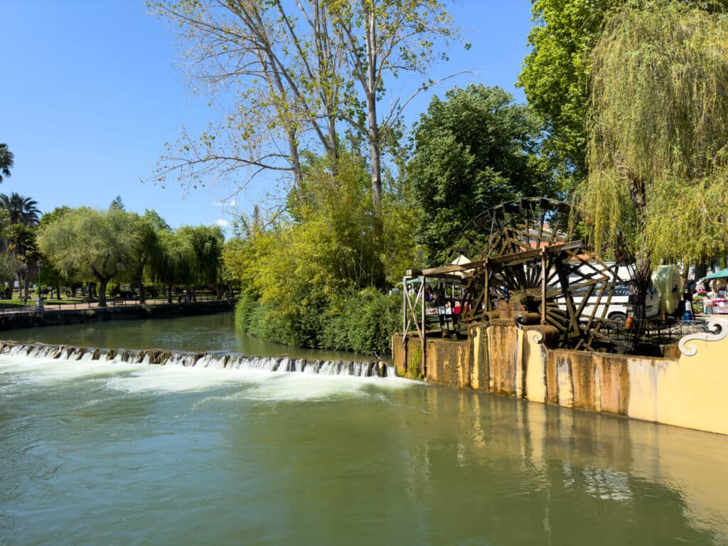 A river with a park and trees in Portugal.