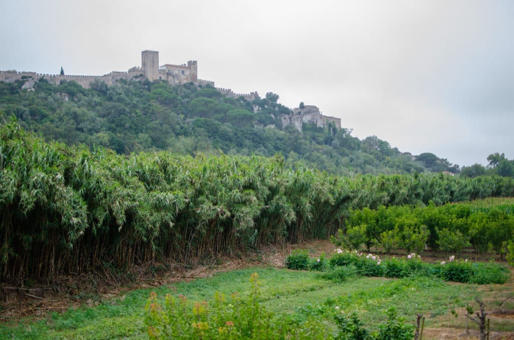 Obidos, zamek.