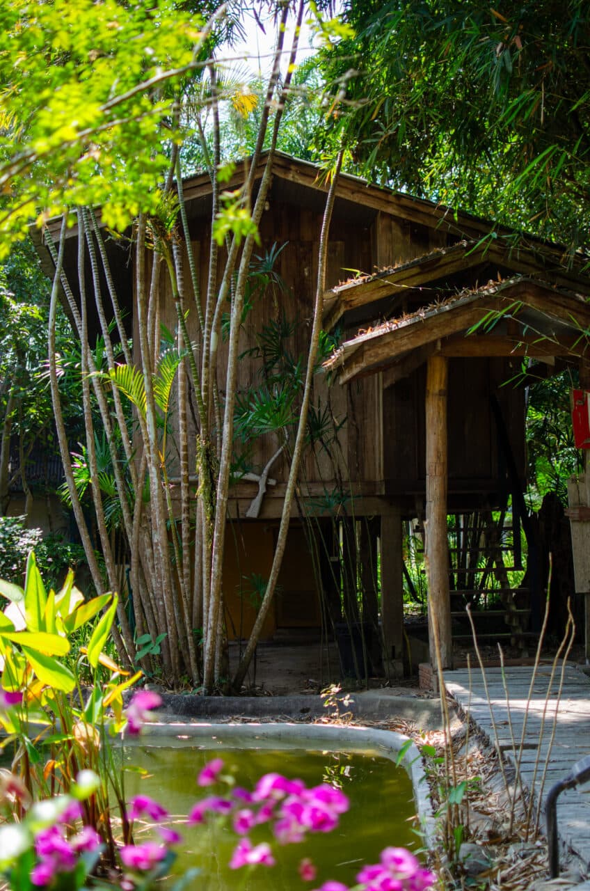 resort, chiang dao