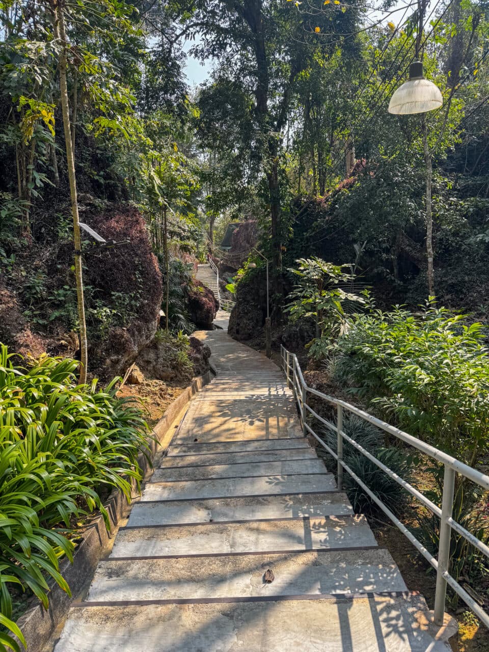 chiang dao, path to the temple
