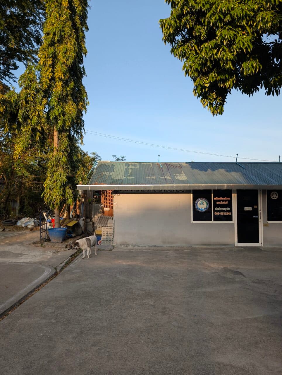 Szkoła jazdy w Chiang Mai