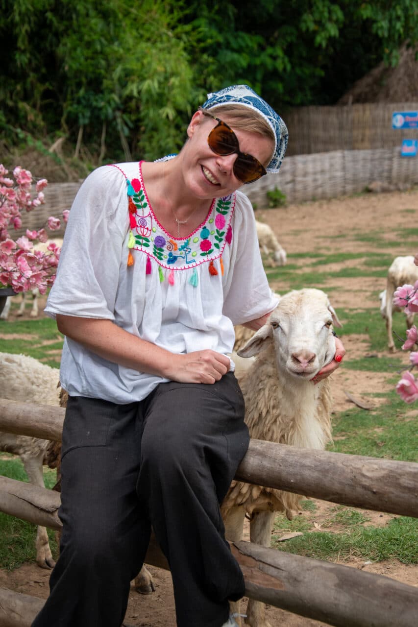 Chiang Khan, Thailand, sheep farm