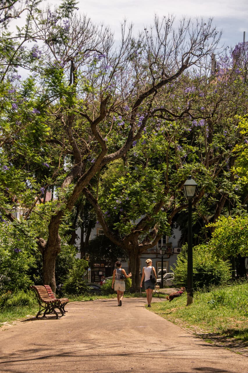Alcantara, park