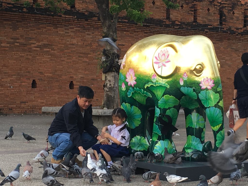 Kolorowy słoń, Chiang Mai Design Week