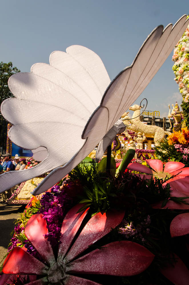 The floats were all decorated in butterflies and birds - all sparkly and shiny