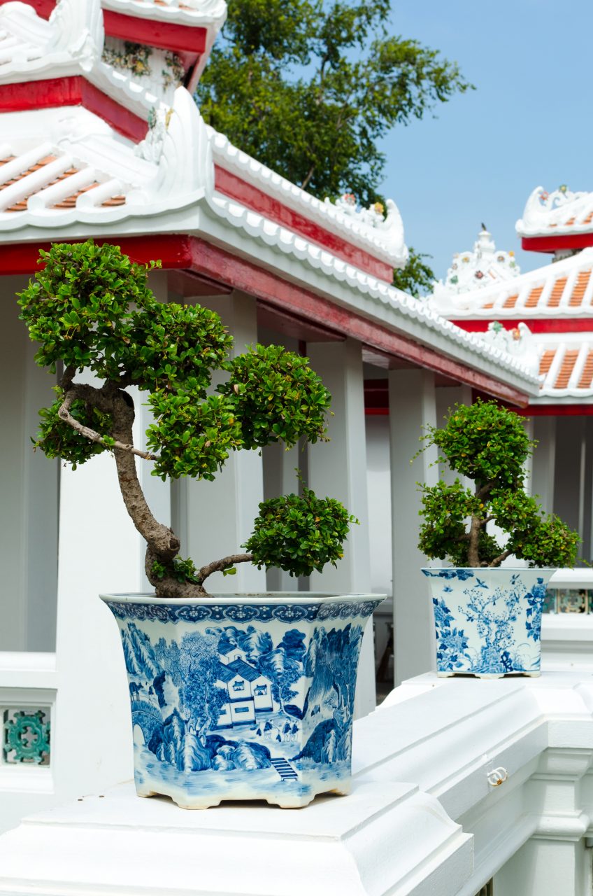 bangkok-wat-arun-bonsai