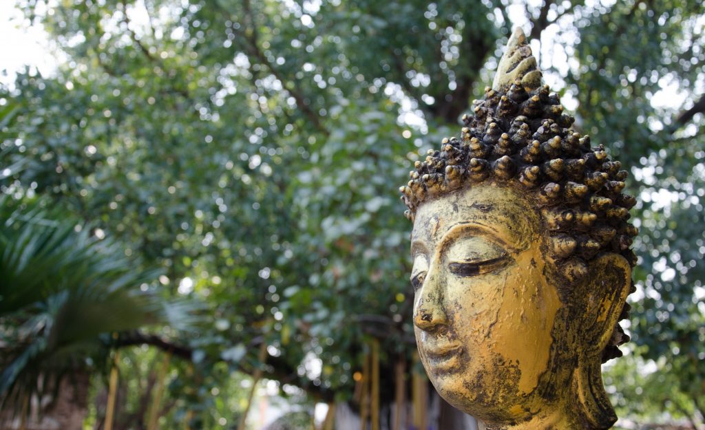 The head of a buddha statue