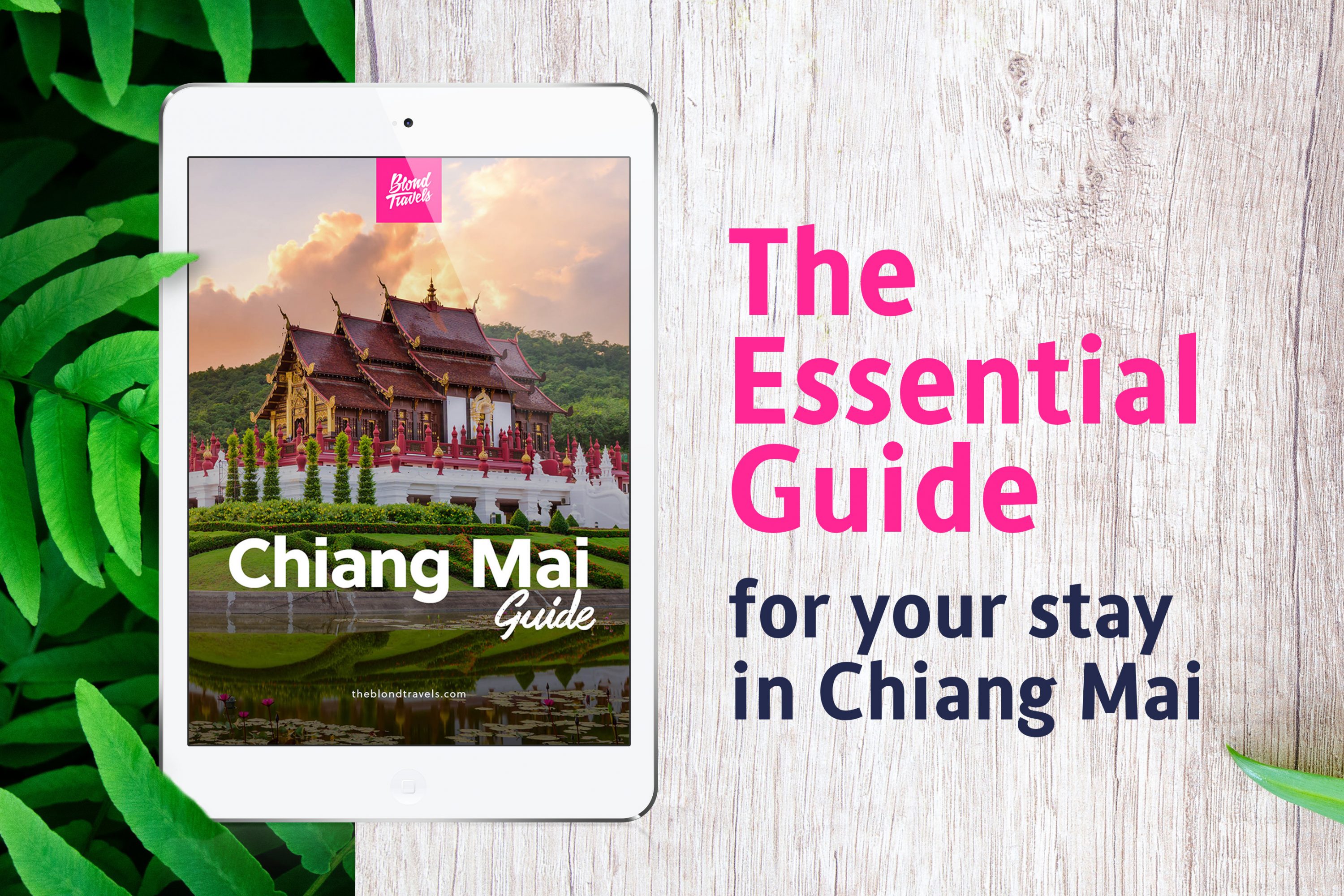 Tips for spending one day in Chiang Mai (from a local) The Blond Travels