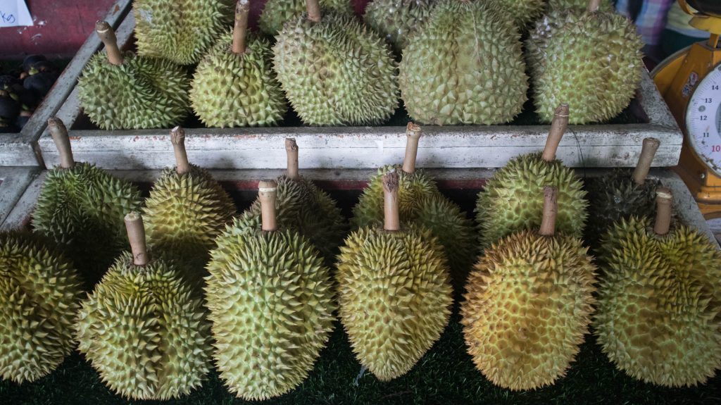 durians in rayong