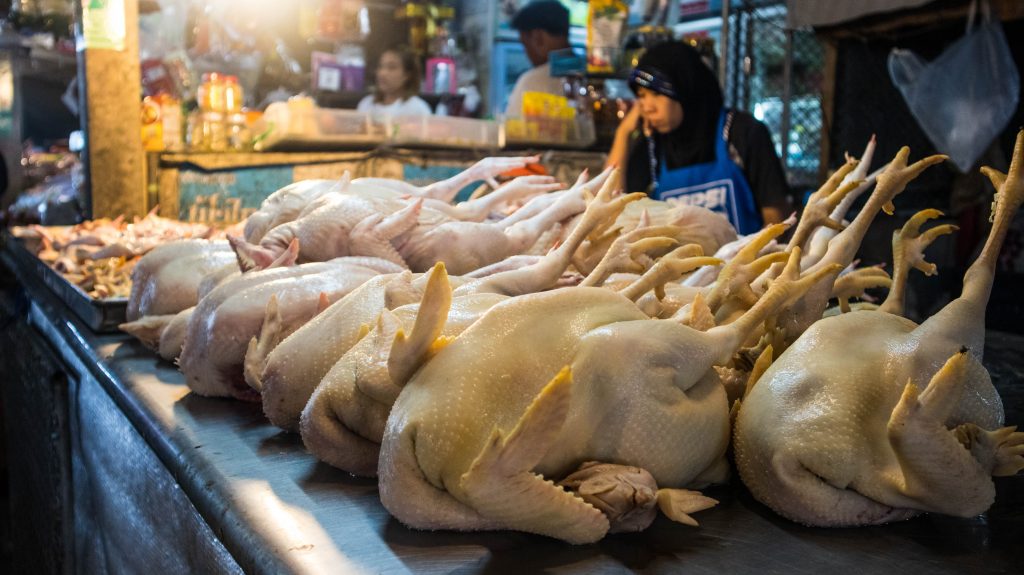 chickens at a street stall in khanom thailand 
