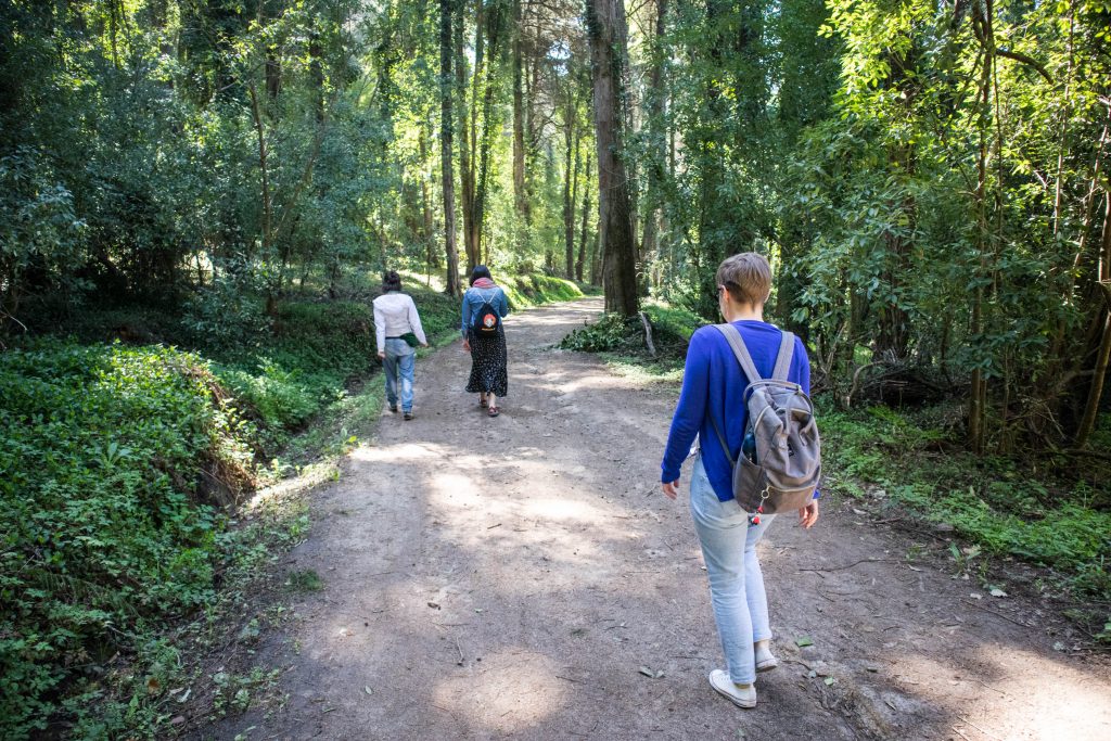 sintra forest trip outside of lisbon a girl in a blue jumper walking in sintra forest