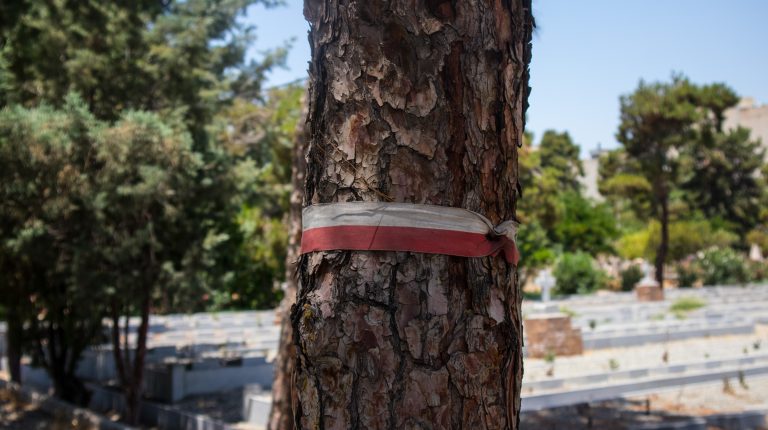a polish flag on the cemetery in iran