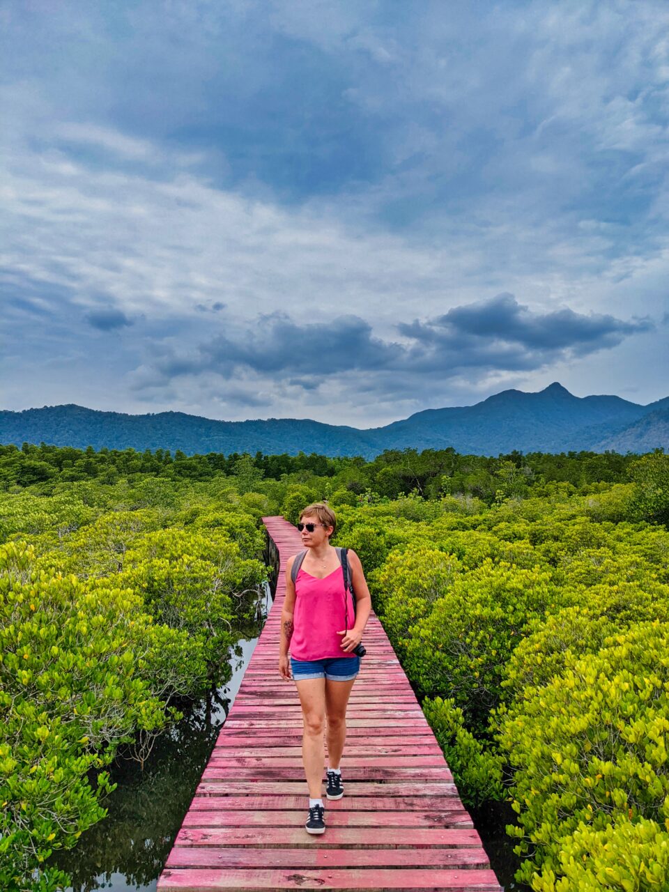 kobieta idzie po lesie namorzynu na koh chang w tajlandii.